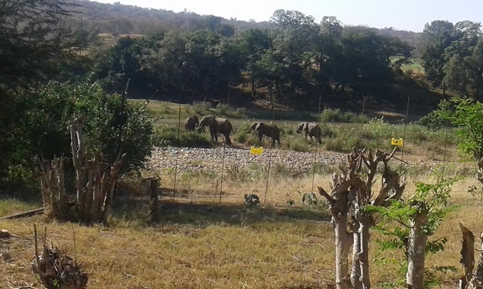 Three Bridges B&B Hoedspruit Exterior photo